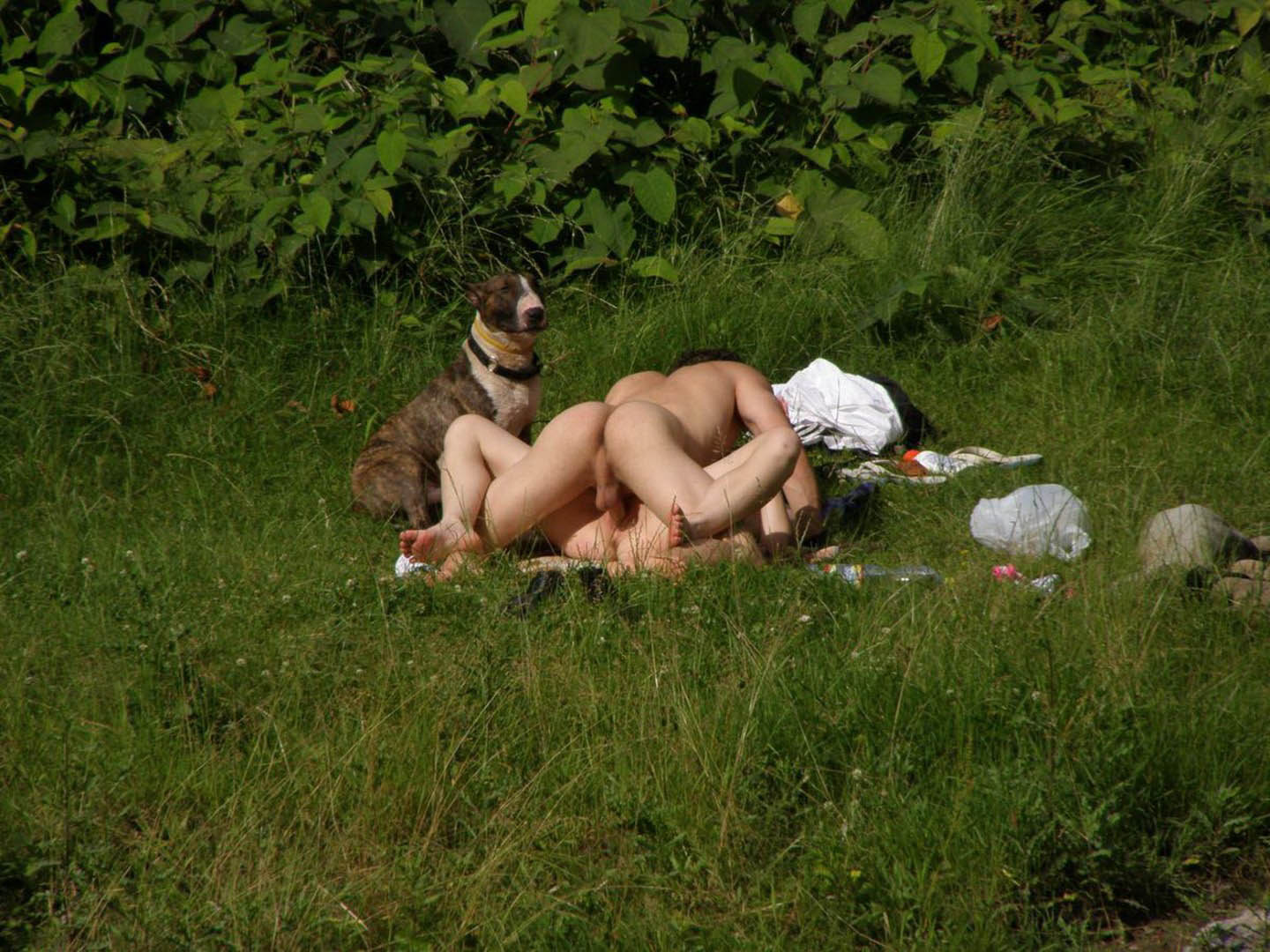 Smal, muskulös,  yngre kille knullar en snygg, smal, underbar tjej 